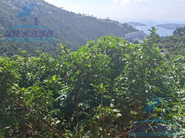 SE VENDE TERRENO CON EXELENTE VISTA AL MAR EN CALLE MAURICIO JIMENEZ MOTA