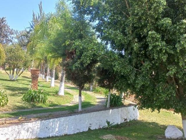 Se vende finca con hermosa casa en Tenancingo