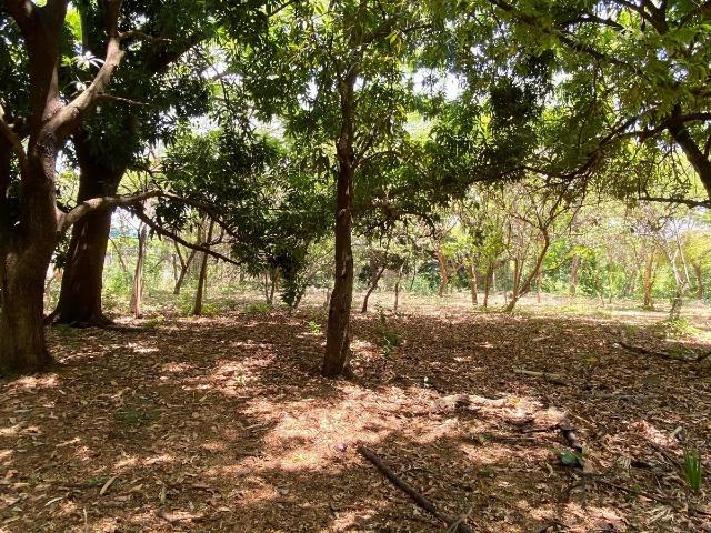 Se VENDE terreno de 14,925.37 m2 cerca del Blvd de Los laguitos
