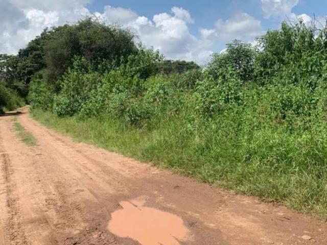 SE VENDE TERRENO DE 12 HECTAREAS EN ATEMAJAC DE BRIZUELA JALISCO