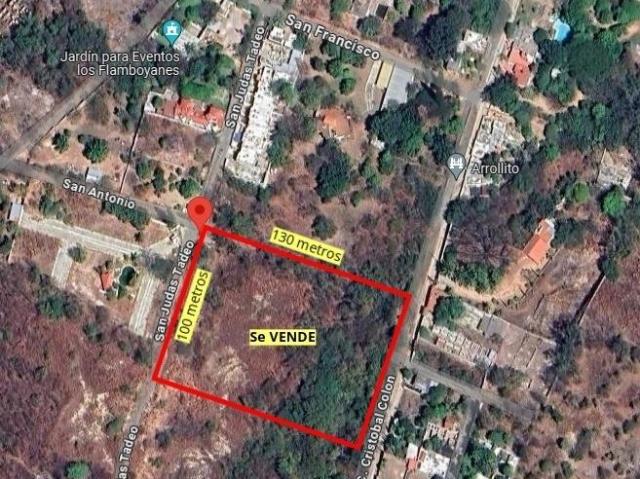 Se VENDE terreno de 13,000 m2 ideal para desarrollar vivienda