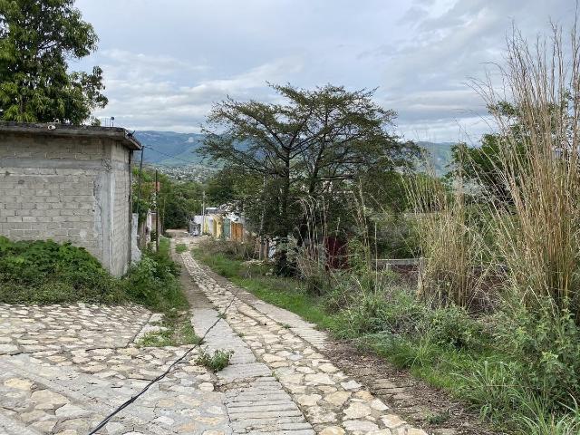 Se VENDE terreno de 13,000 m2 ideal para desarrollar vivienda