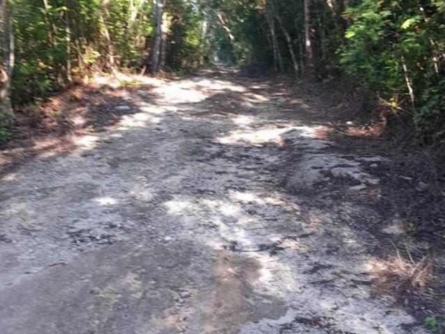 Se vende terreno de 1 hectárea en av Leona Vicario, cún