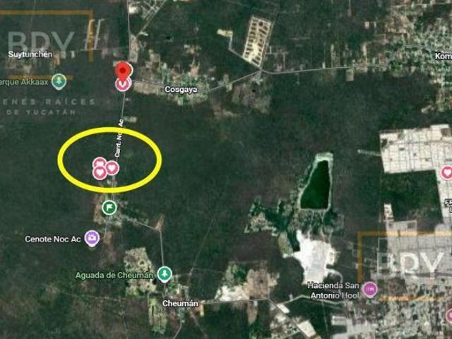 Se vende terreno de 30,200m2 sobre la carretera Noc Ac Sierra Papacal