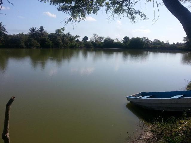 SE VENDE TERRENO DE 6.5 HAS EN SAN ANTONIO CARDENAS