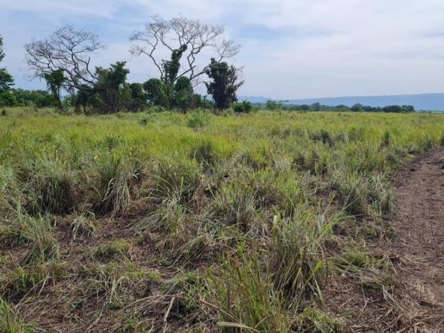 Se vende terreno de 7 hect?reas cerca del Aeropuerto Internacional