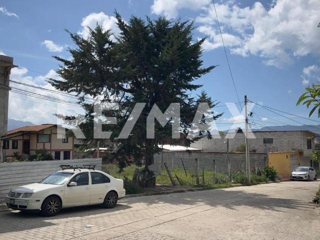 Se vende terreno en María Auxiliadora, San Cristóbal de Las Casas