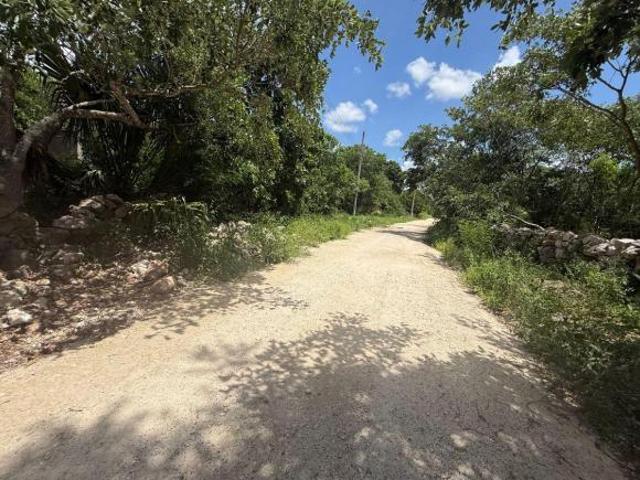 SE VENDE TERRENO EN MOTUL PUEBLO UCI