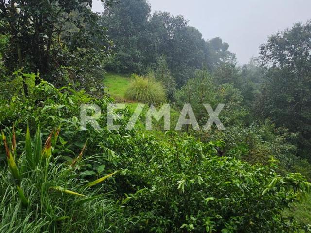 SE VENDE TERRENO EN ACAXOCHITLÁN, HIDALGO
