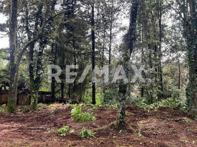 Se vende terreno en Alcanfores