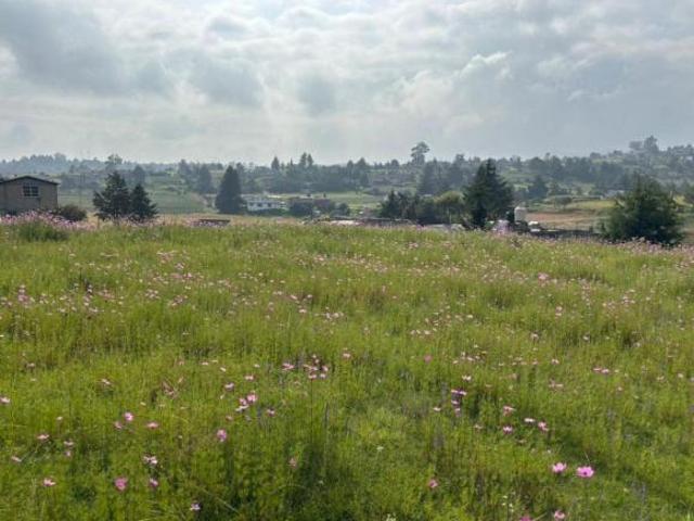 SE VENDE TERRENO EN AMOLOYA DE JUAREZ, EDO. MEX