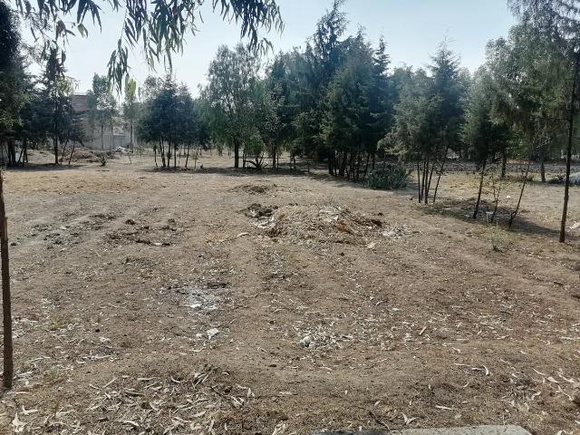 Se vende terreno en Chiautla, sobre principal