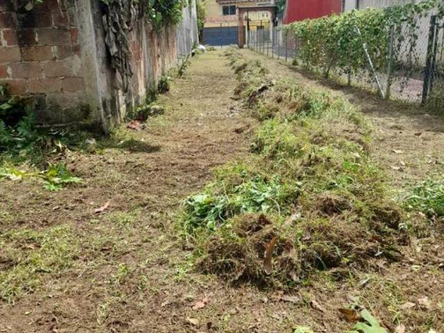 Se vende terreno en Coatepec, Veracruz
