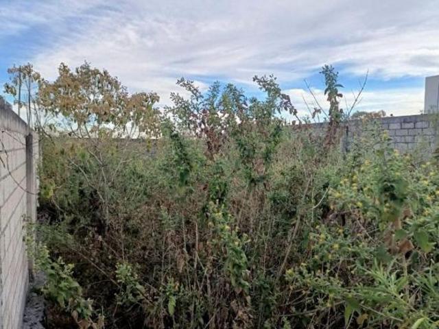 SE VENDE TERRENO EN COLONIA CAMPO DE TIRO