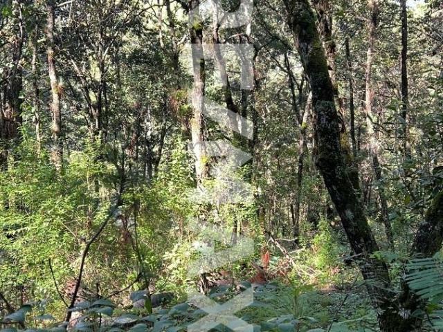 Se vende terreno en Corral de Piedra