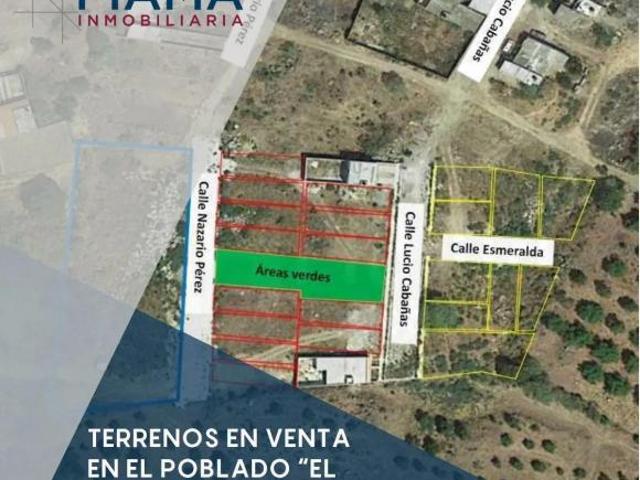 SE VENDE TERRENO EN EL AGUACATE, TEPIC, NAYARIT. $3500X m2