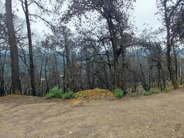 Se vende terreno en el Pueblo Mágico, Mineral del Chico, Hidalgo