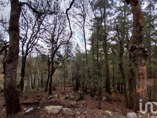 Se vende Terreno en Fraccionamiento Bosques de San Cayetano, en Mineral del Monte, Hidalgo