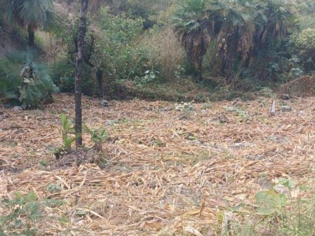 SE VENDE TERRENO EN JARDÍN JUÁREZ