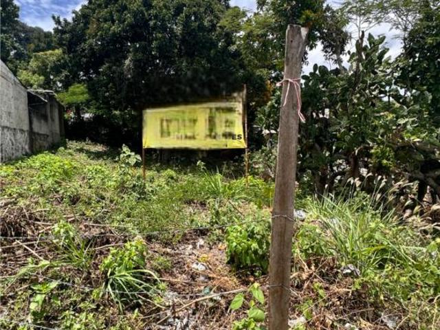 Se vende terreno en la Colonia 6 de Enero