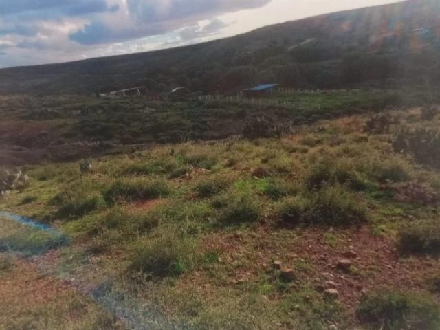 Se vende terreno en la comunidad de panuco, Zacatecas