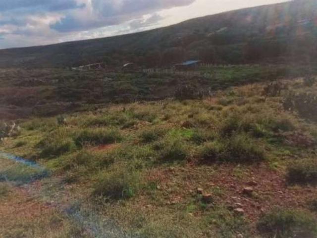 Se vende terreno en la comunidad de panuco Zacatecas