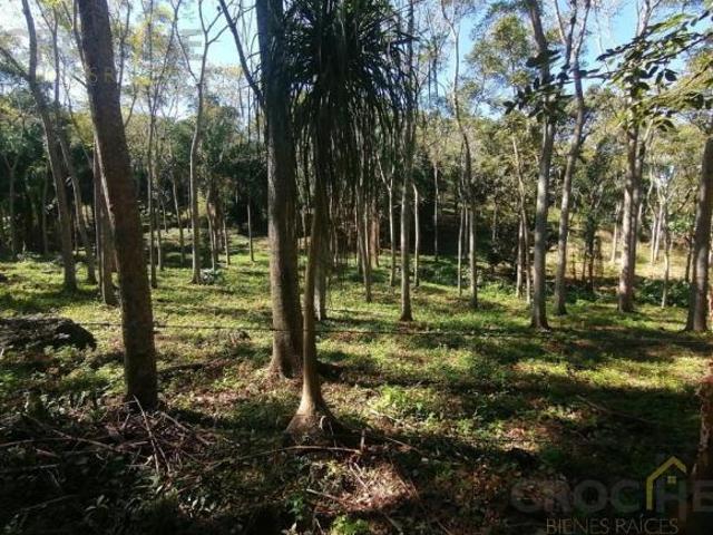 SE VENDE TERRENO EN LA CONCEPCIÓN VERACRUZ
