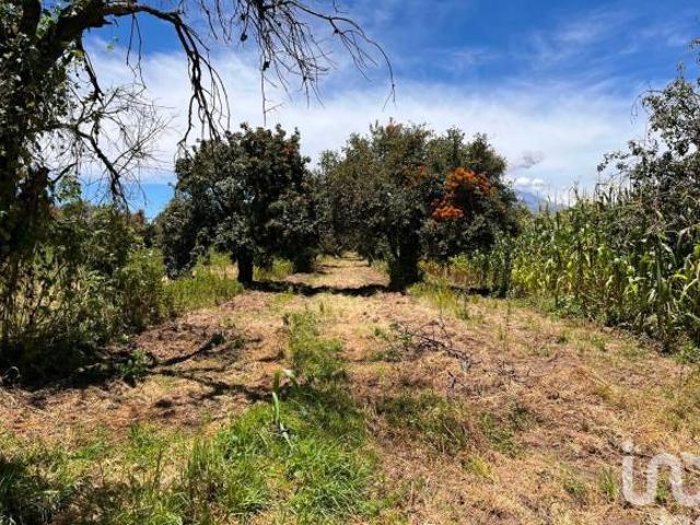 Se vende terreno en La Joya de Santiago Mextla,Huejotzingo. Excelente para fraccionamiento 3,705m2