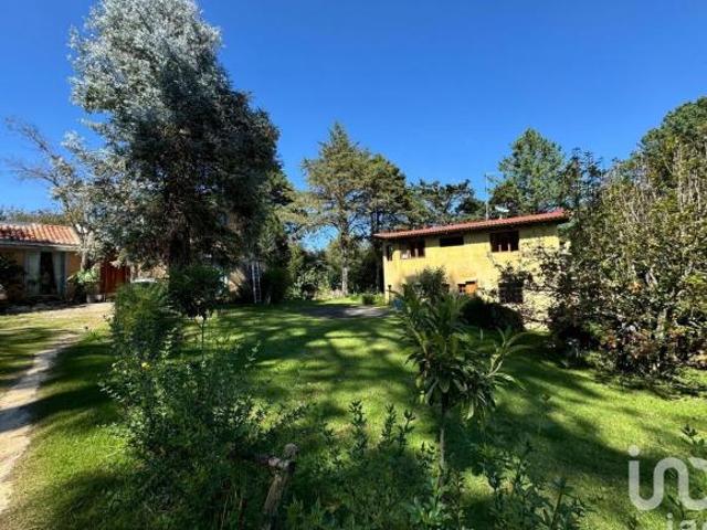 Se Vende Terreno en La Quinta San Martin, San Cristóbal de Las Casas, Chiapas