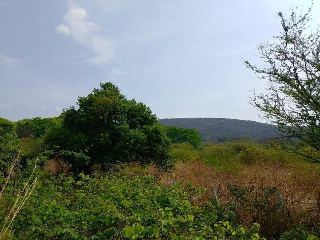 Se VENDE TERRENO en La Trinitaria, Chiapas