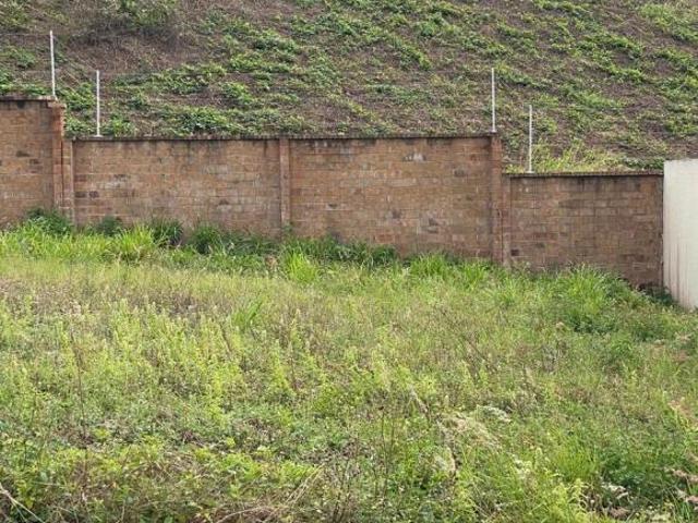 Se Vende Terreno En Punta Tiburón Laguna 6