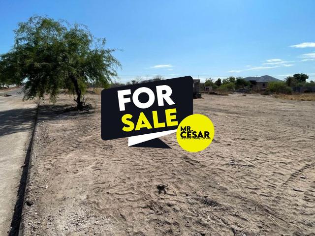Se vende terreno en Palo Verde
