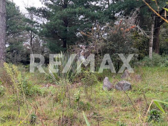 Se vende terreno en privada en la Quinta San Martín en San Cristóbal de Las Casas