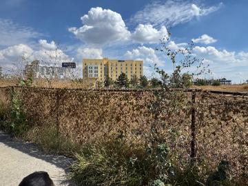 Se Vende Terreno en Salamanca sobre José Maria Morelos casi en frente de Walmart, la mejor zona