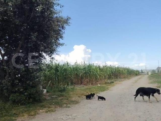 Se vende terreno en San Josè Chiapa, Puebla