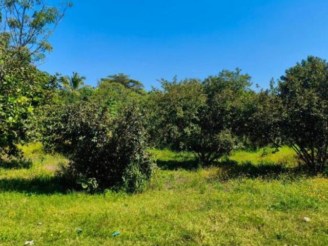 SE VENDE TERRENO EN TEMIXCO