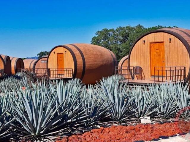 Terreno agrícola en venta en Tequila, Jalisco |1 Hectarea para Agave