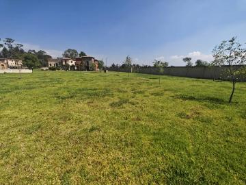 SE VENDE TERRENO EN VALQUIRICO