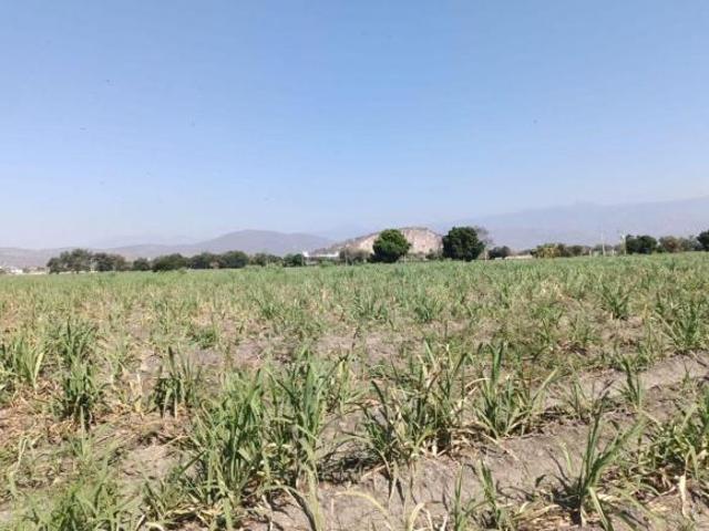 SE VENDE TERRENO EN YAUTEPEC