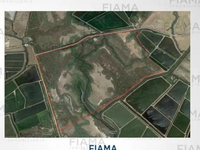 SE VENDE TERRENO IDEAL PARA GRANJAS DE CAMARONES