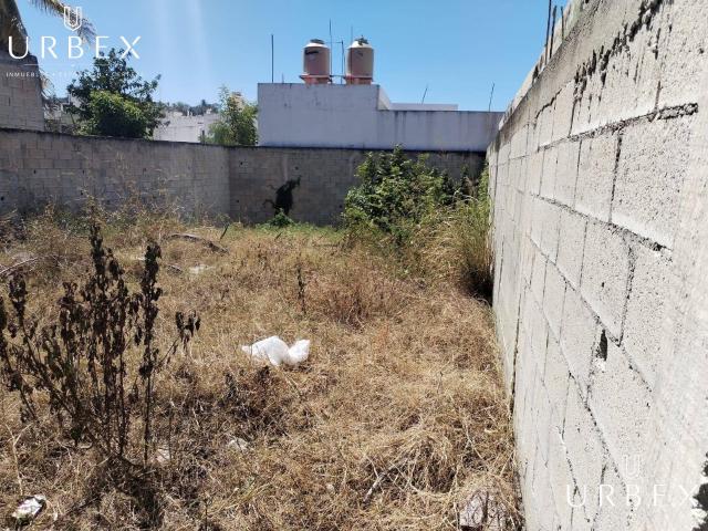 SE VENDE TERRENO IDEAL PARA PROYECTO EN SAN CAYETANO, CAMPECHE
