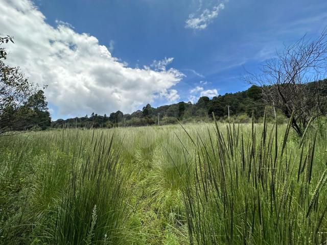 Se vende Terreno ideal para un rancho o desarrollar en Ca?ada de Alferez