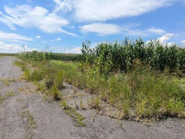 Se VENDE TERRENO, Los Tepetates Parque Industrial, Zapotlanejo, Jalisco