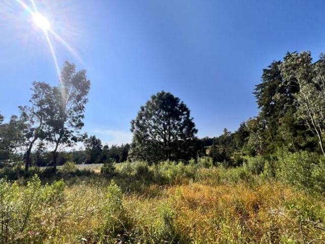 Se VENDE TERRENO Praderas del Nogal, Tapalpa, Jal