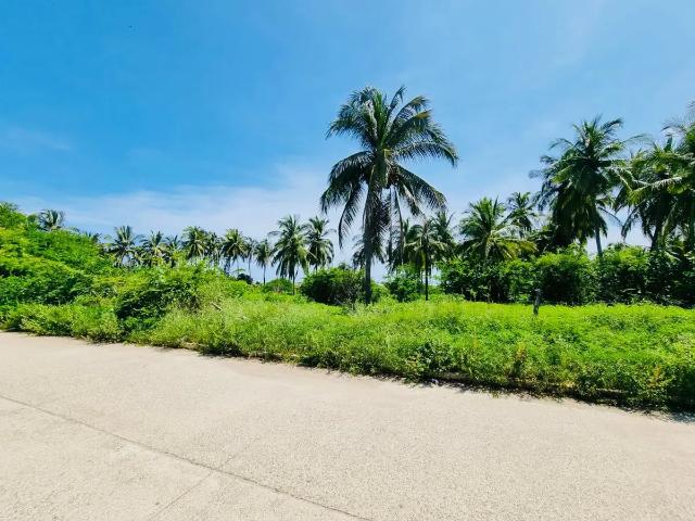 SE VENDE TERRENO PROPIEDAD DE 8,000 M2 A UNOS METROS DE LA PLAYA DE ACAPULCO EN ZONA DIAMANTE
