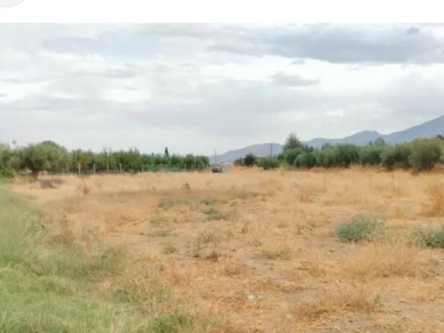 Se vende terreno rústico con pozo propio