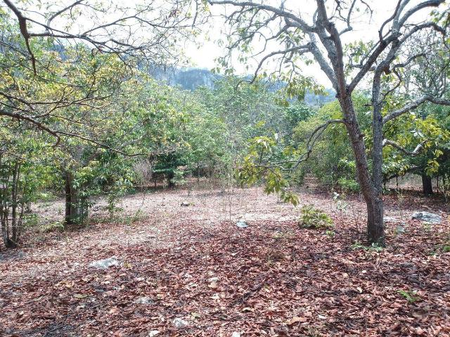 Se Vende Terreno R?stico a 500 M de Lomas del Sauces