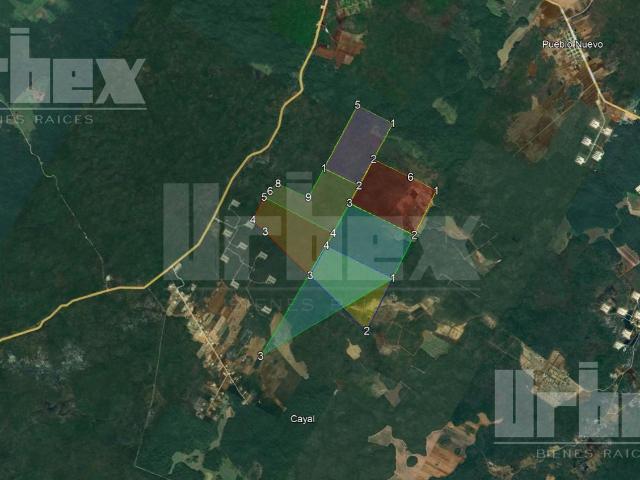 SE VENDE TERRENO R?STICO PROPIEDAD PRIVADA EN CAYAL, CAMPECHE