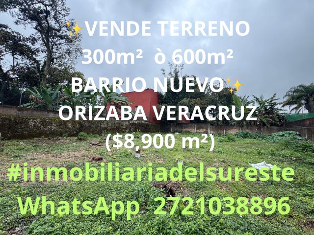 SE VENDE TERRENO 300m² ò 600m² BARRIO NUEVO ORIZABA VERACRUZ $8,900 m²