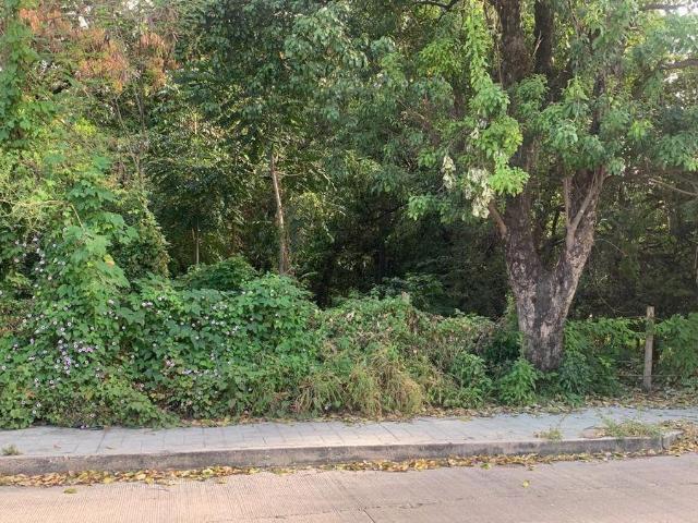 Se VENDE amplio Terreno ubicado cerca de Libramiento Sur Oriente